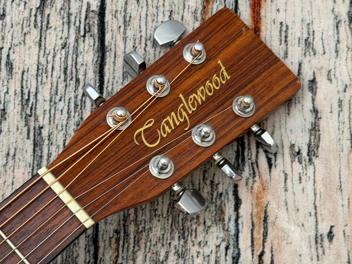 Tanglewood Korean (Cort factory) Earth 100 Dreadnought