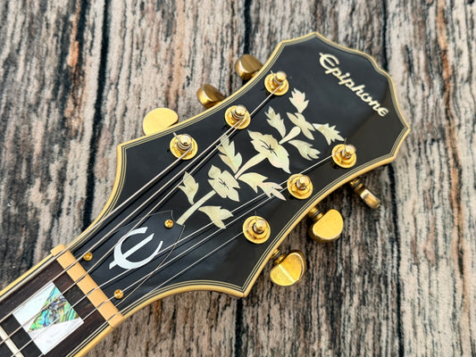 Epiphone Sheraton II - Dog o war!
