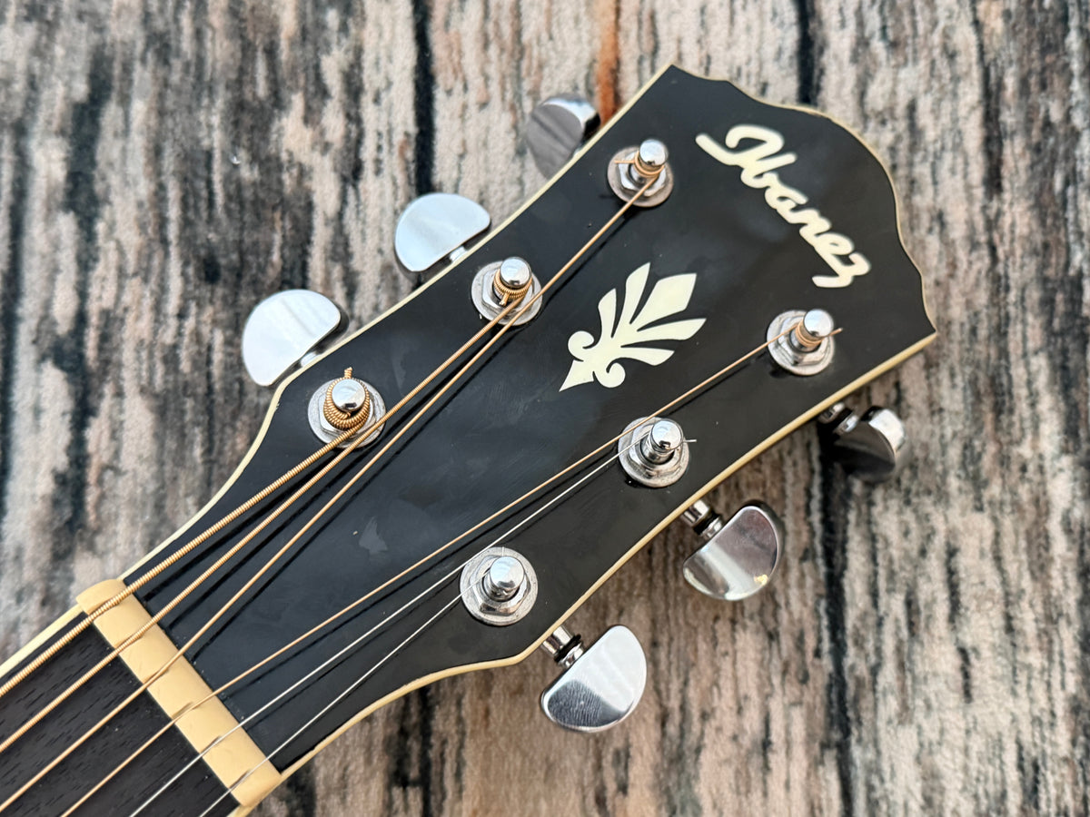 Ibanez AFG 10ii electro acoustic