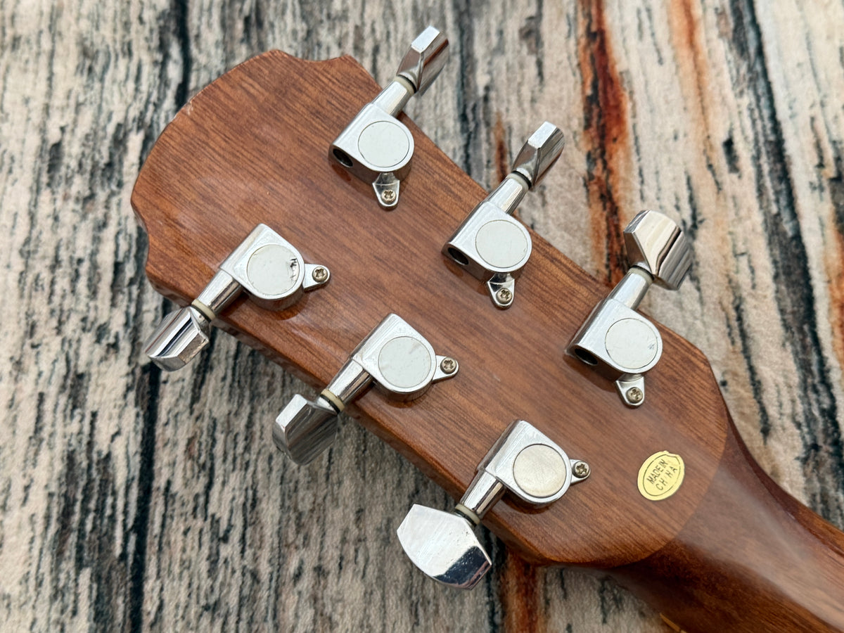Aria AF20 Acoustic