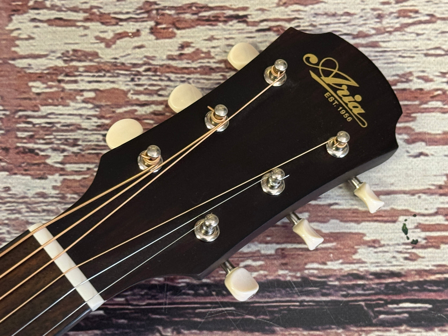 Aria 131-UP Parlour acoustic Blue