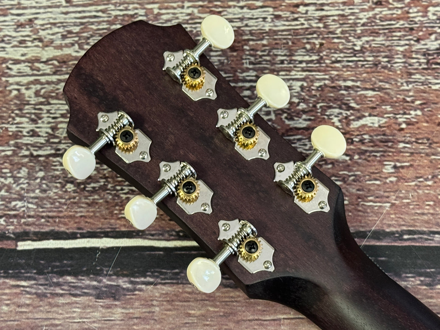 Aria 131-UP Parlour acoustic Blue