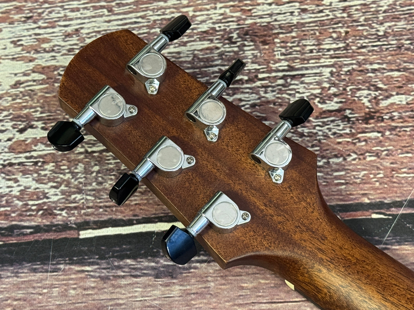 Walden G770CE All solid electro acoustic