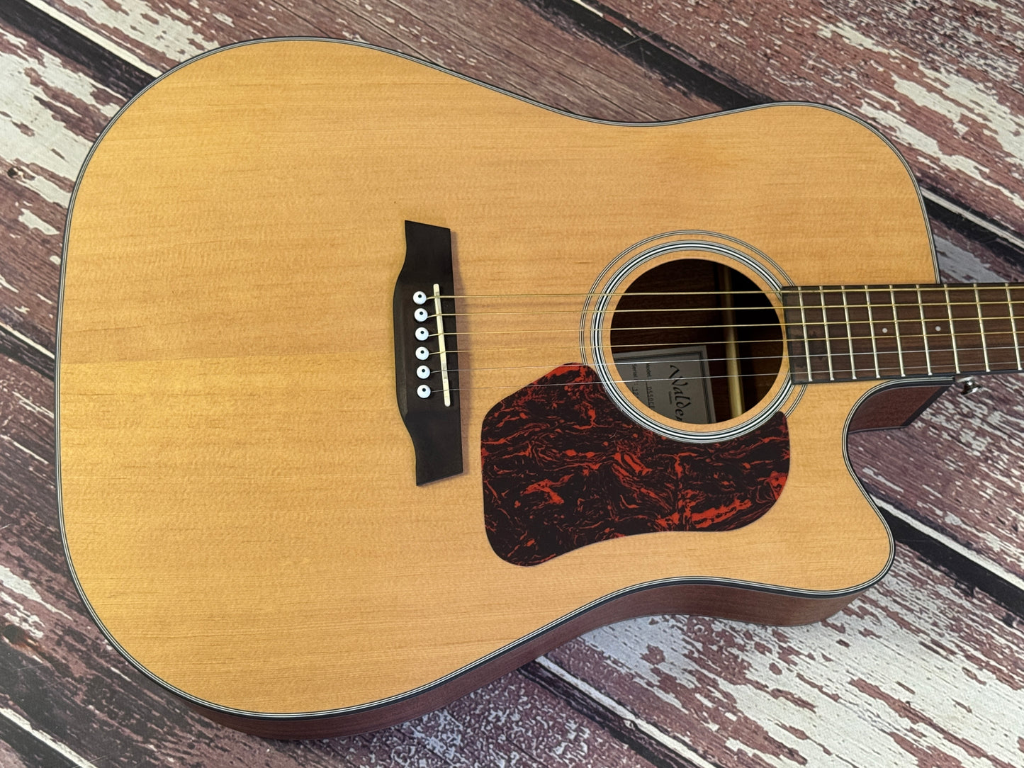 Walden D550CE Solid top Dreadnought electro acoustic