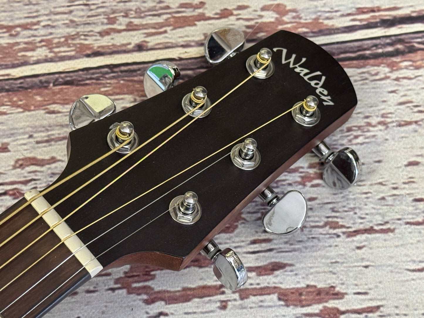 Walden D550CE Solid top Dreadnought electro acoustic