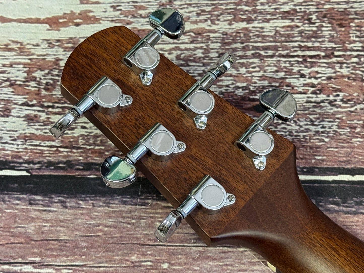 Walden D550CE Solid top Dreadnought electro acoustic
