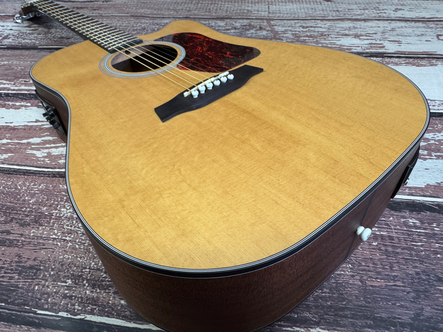 Walden D550CE Solid top Dreadnought electro acoustic