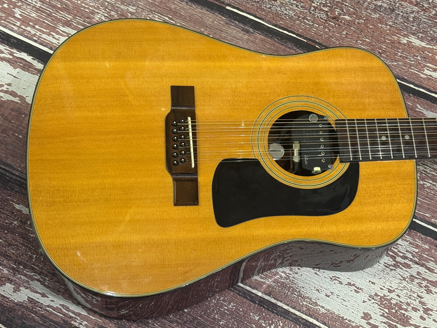 Washburn D12-12N 90's 12 string with Schaller vintage pickup