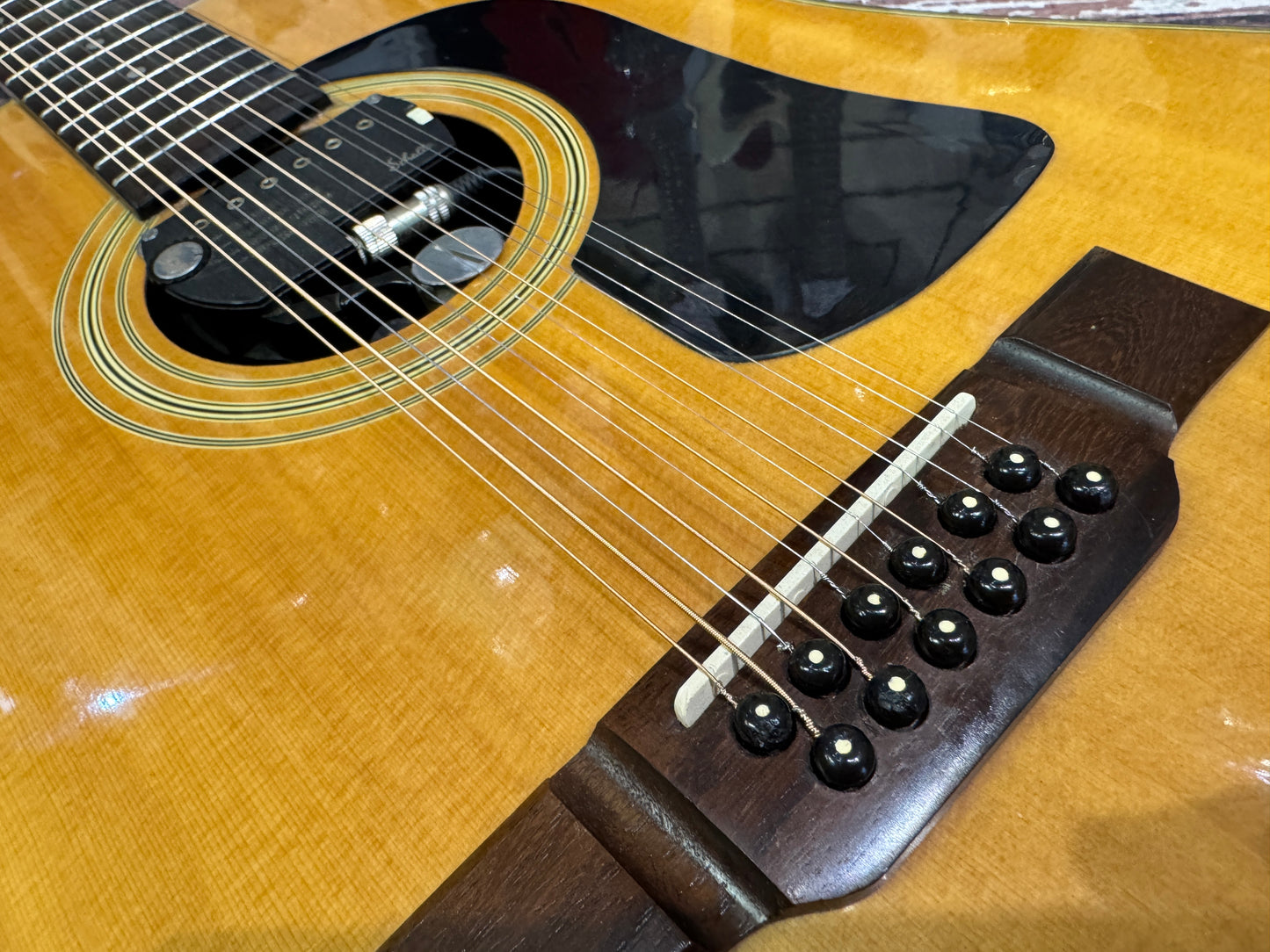 Washburn D12-12N 90's 12 string with Schaller vintage pickup