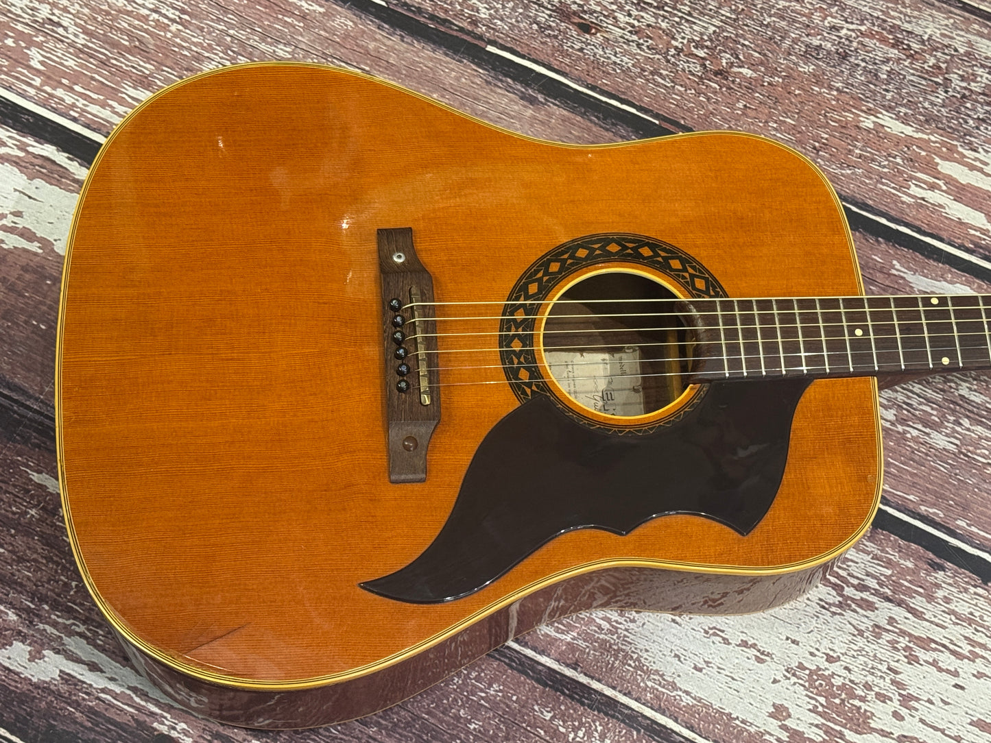 Eko Ranger VI 70's Italian Acoustic