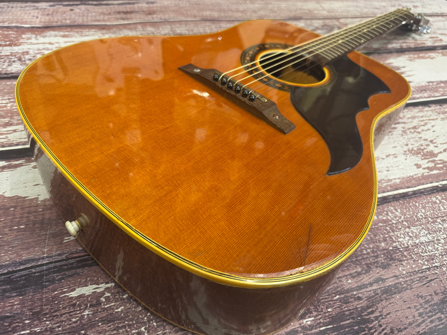 Eko Ranger VI 70's Italian Acoustic
