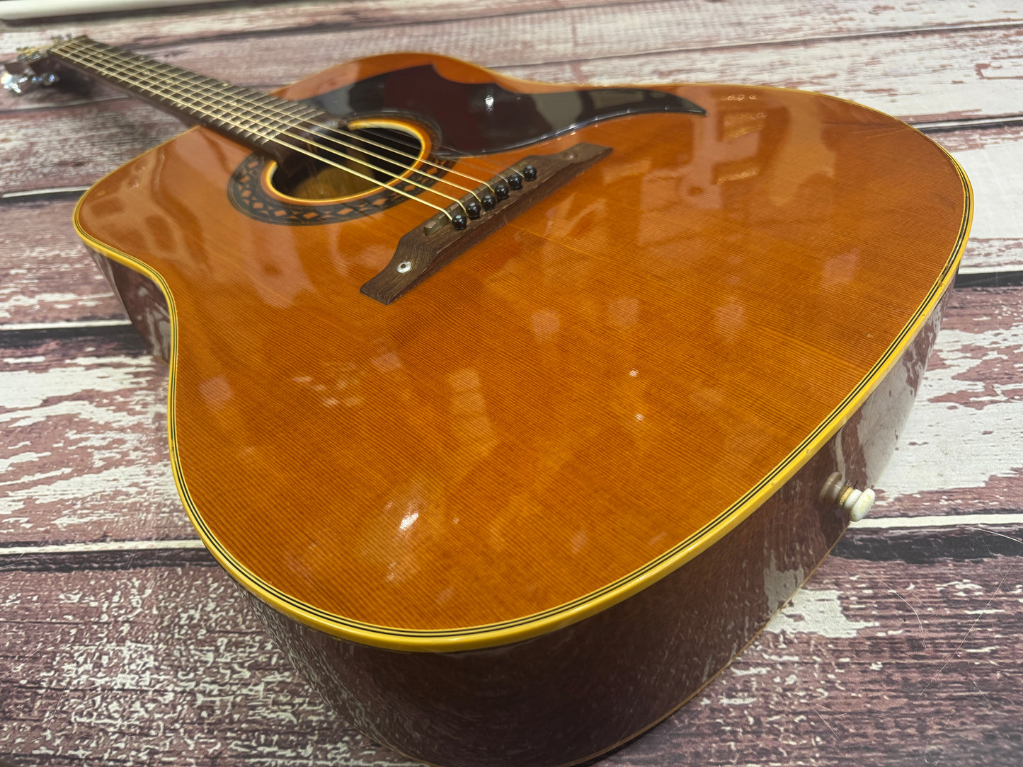 Eko Ranger VI 70's Italian Acoustic