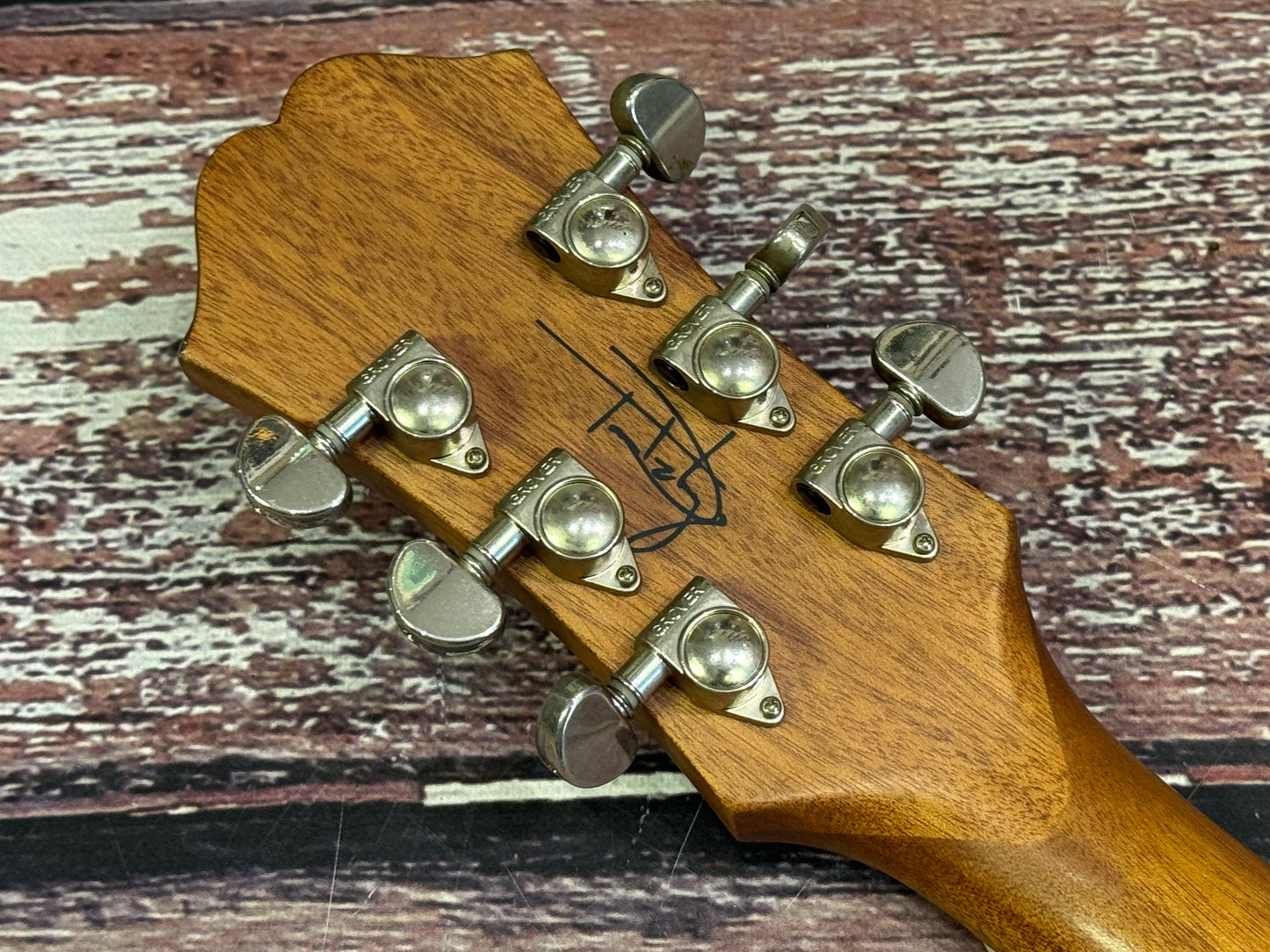 Epiphone ES333 Tom Delongue Signature