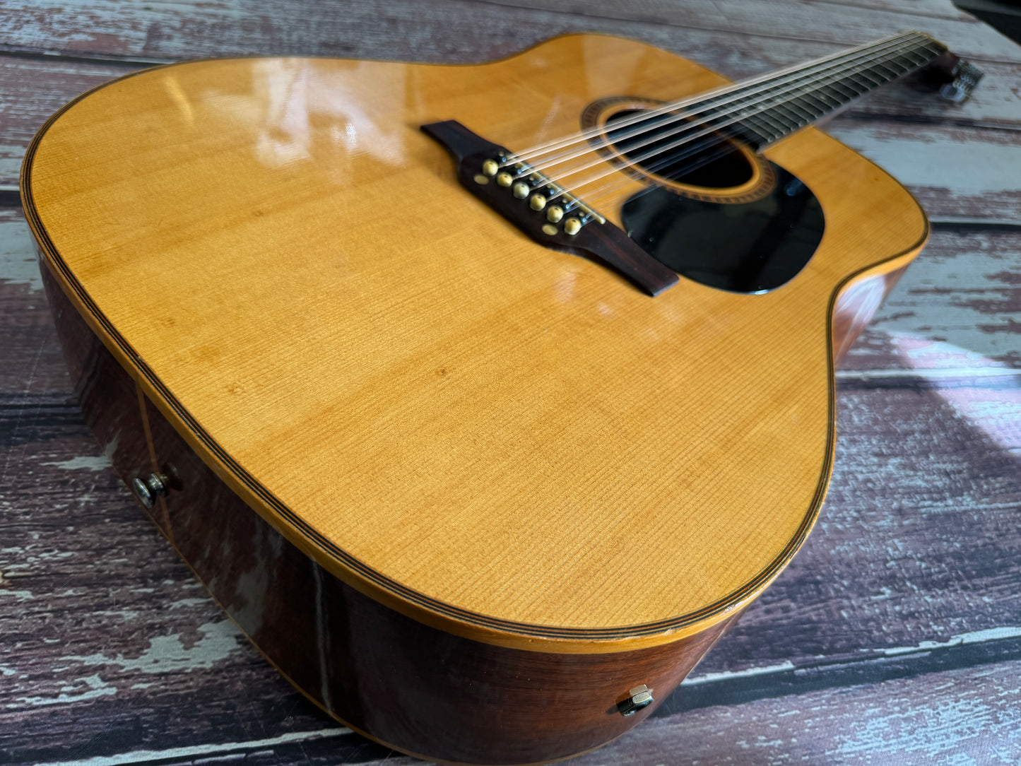 Giannini AWGS-31 12 String Brazilian made 1980 original