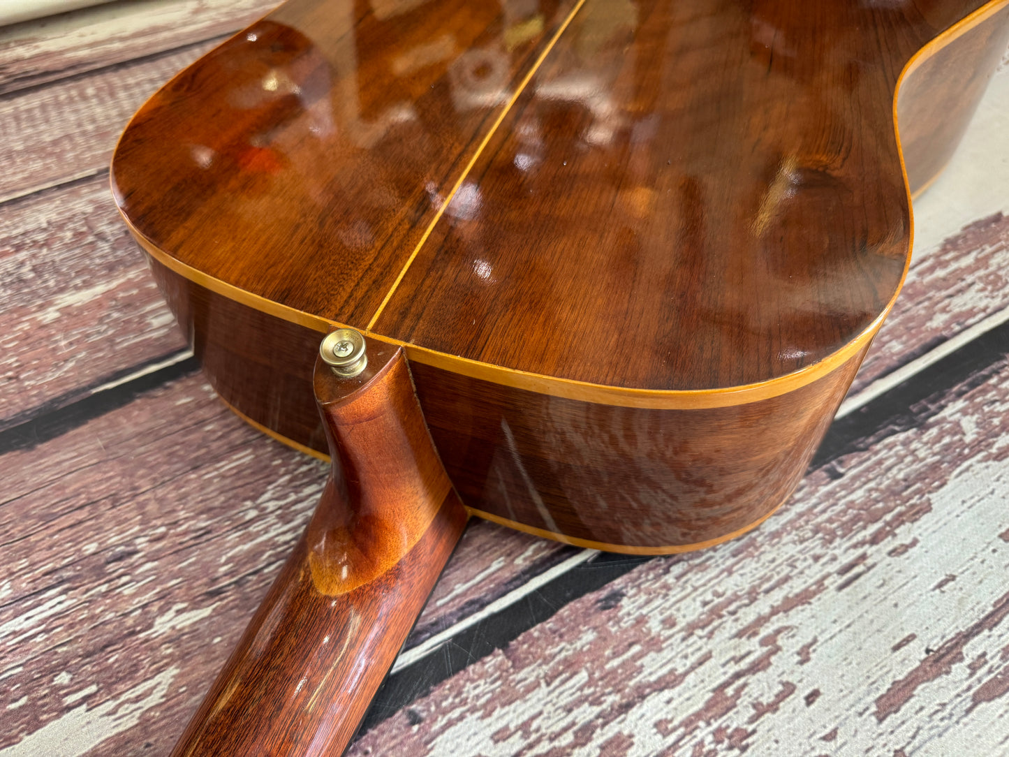 Giannini AWGS-31 12 String Brazilian made 1980 original