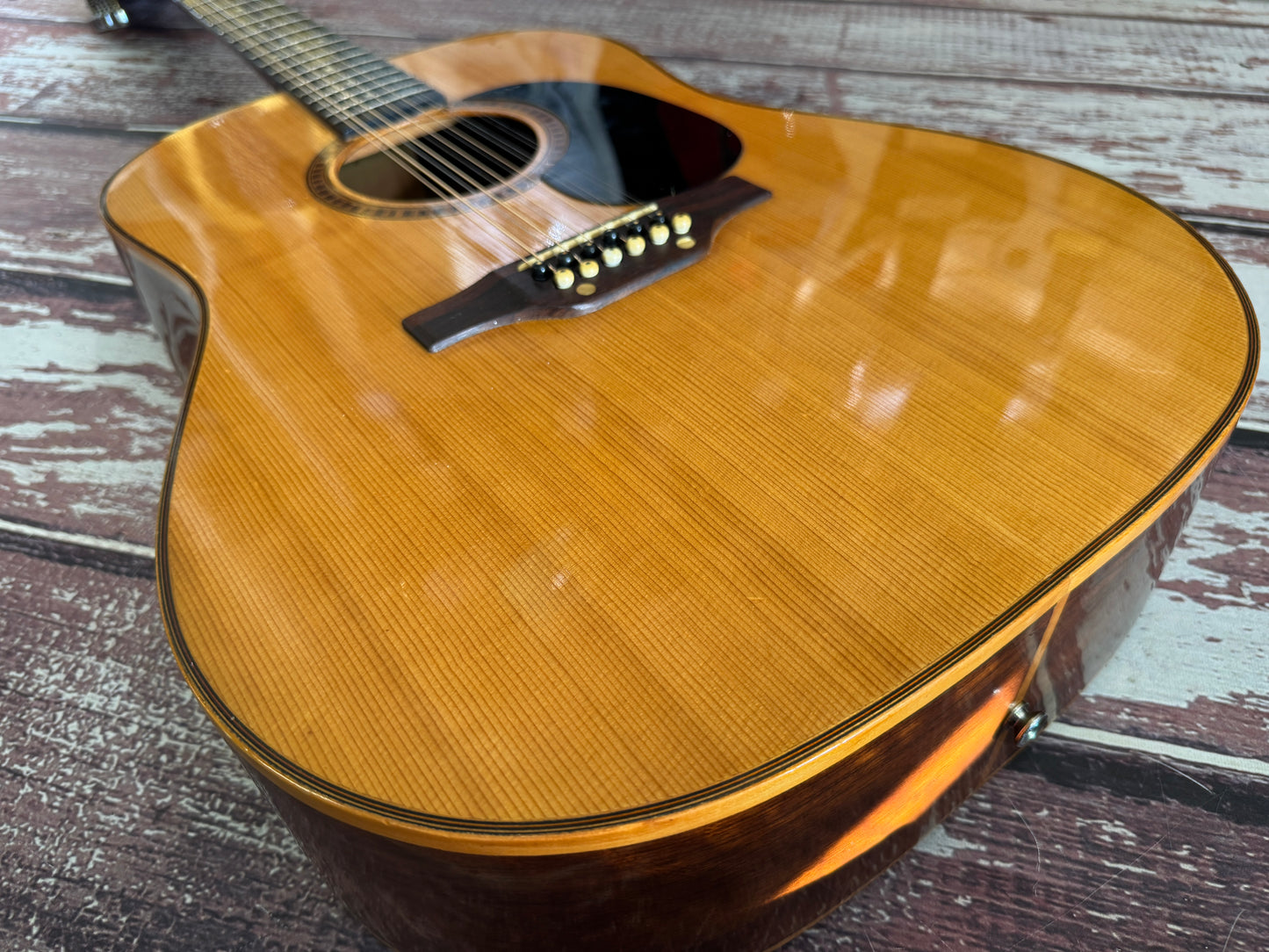 Giannini AWGS-31 12 String Brazilian made 1980 original