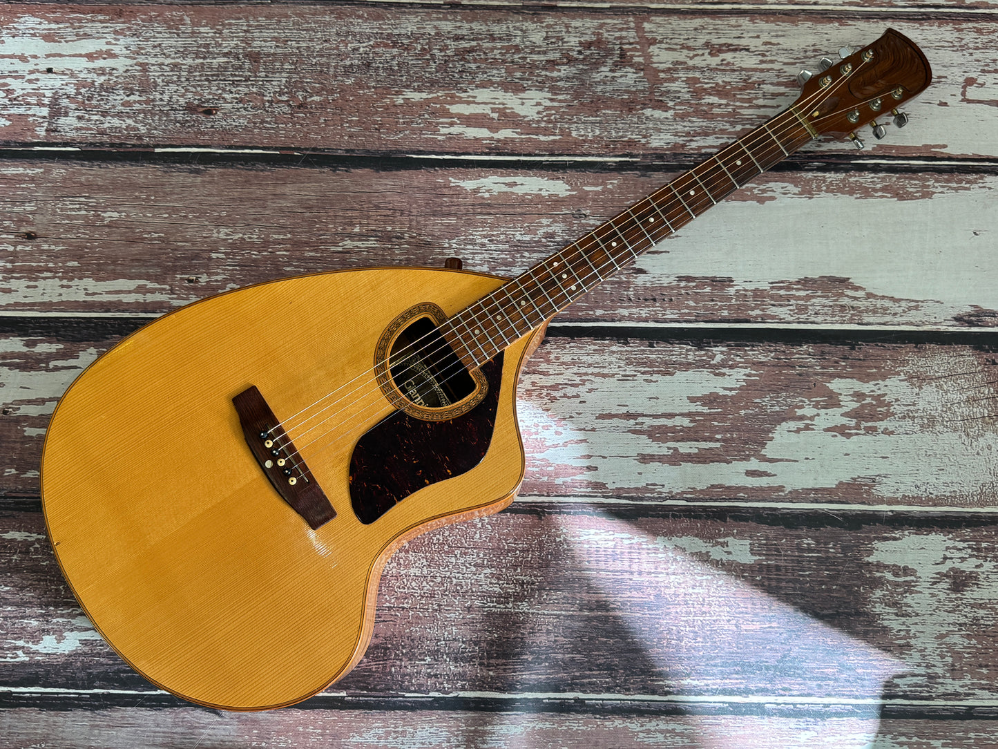 Giannini Craviola AWKS71-6 1979