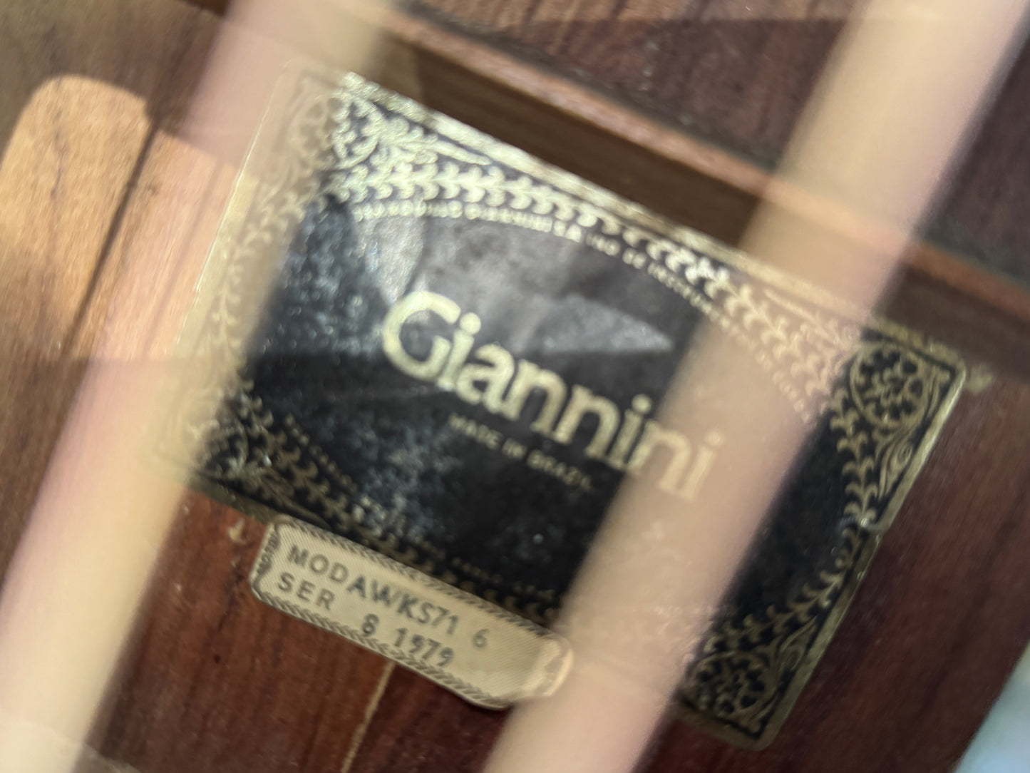 Giannini Craviola AWKS71-6 1979