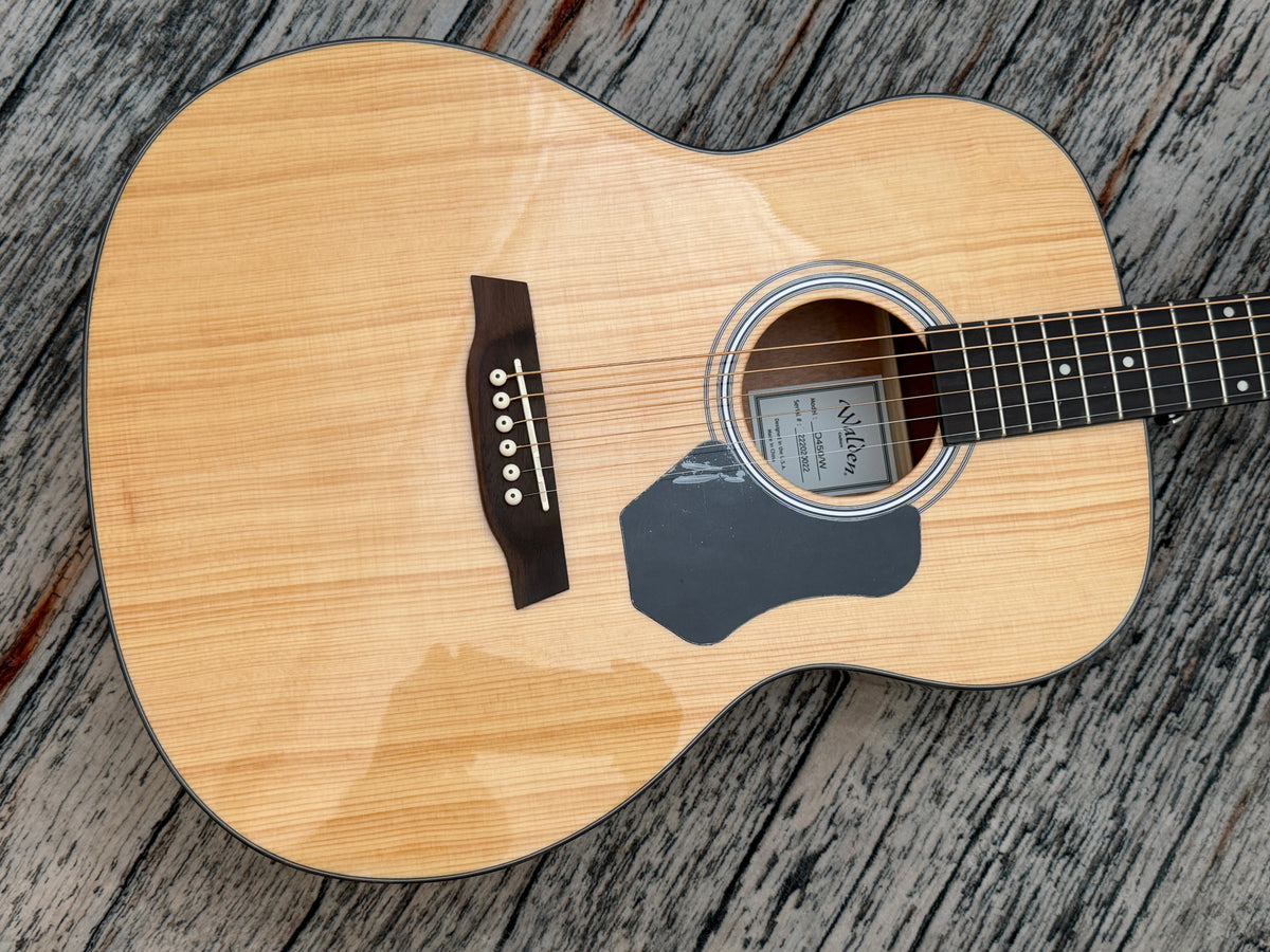 Walden O450 Solid Spruce Top Orchestra Acoustic - Gloss Natural