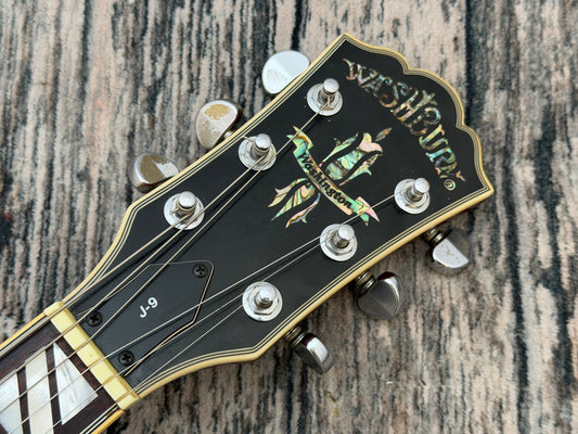 Washburn J9 "Washington" Korean made.