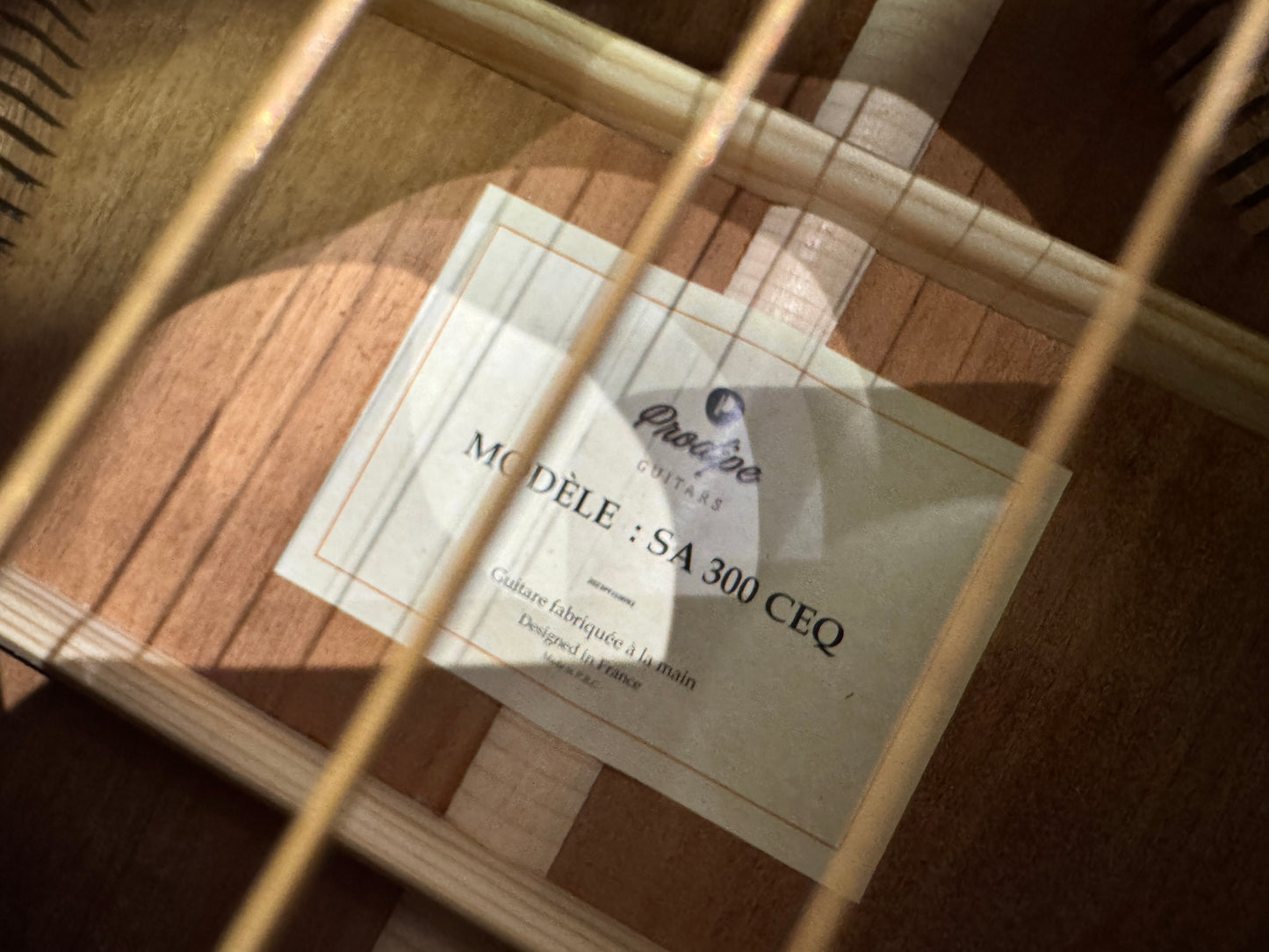 Prodipe SA-300 CEQ All solid wood electro