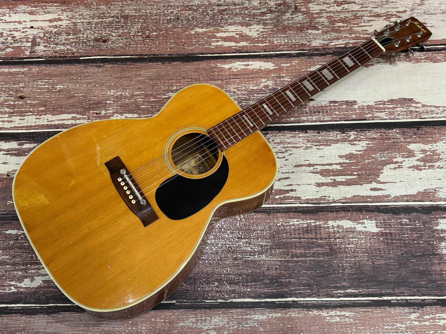 Jedson Japan F-907 Acoustic