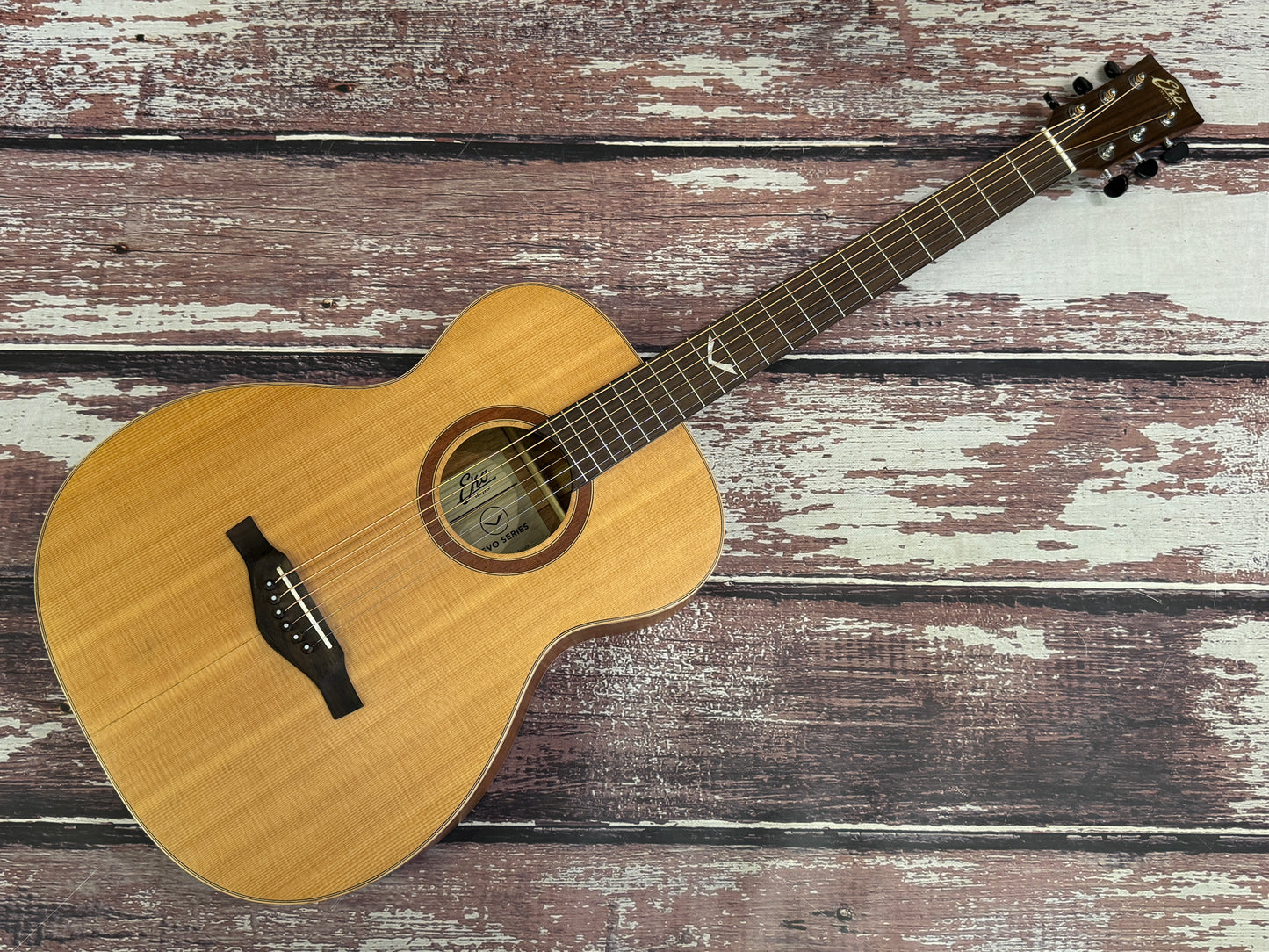 Eko evo a350e baritone - electro acoustic