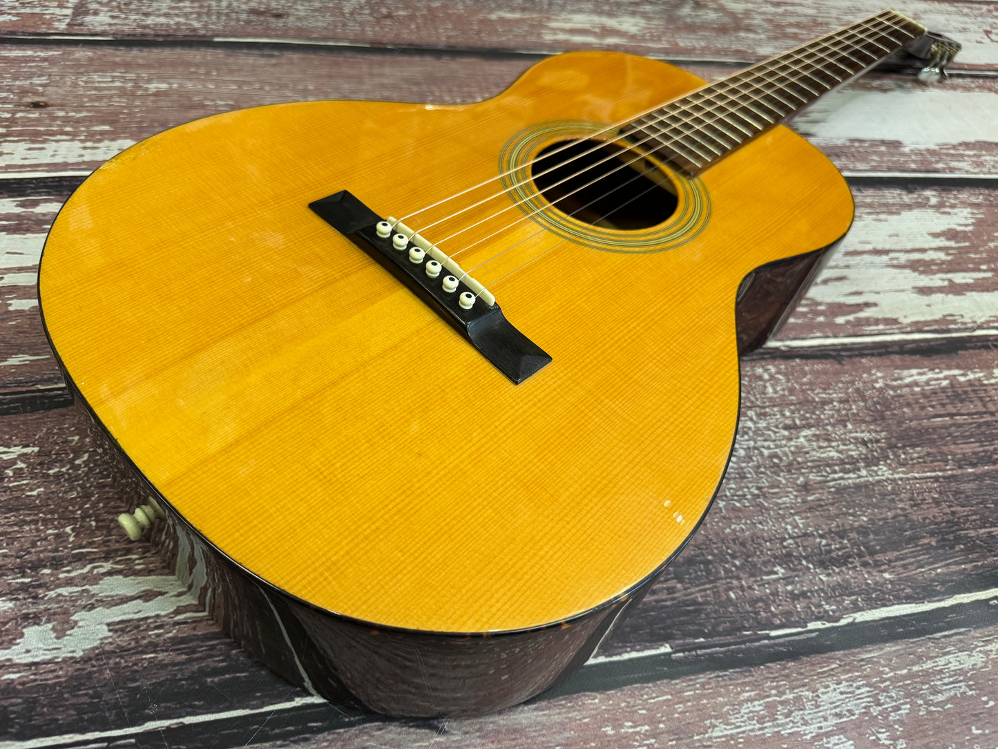 Recording King RP-06 Solid top Parlour