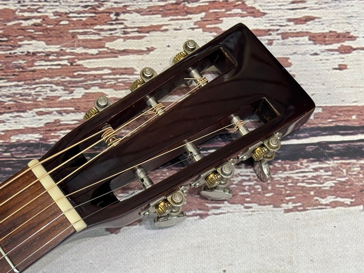 Recording King RP-06 Solid top Parlour