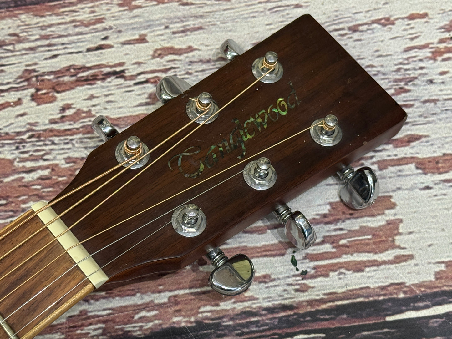 Tanglewood TW-155ST Premier Jumbo acoustic