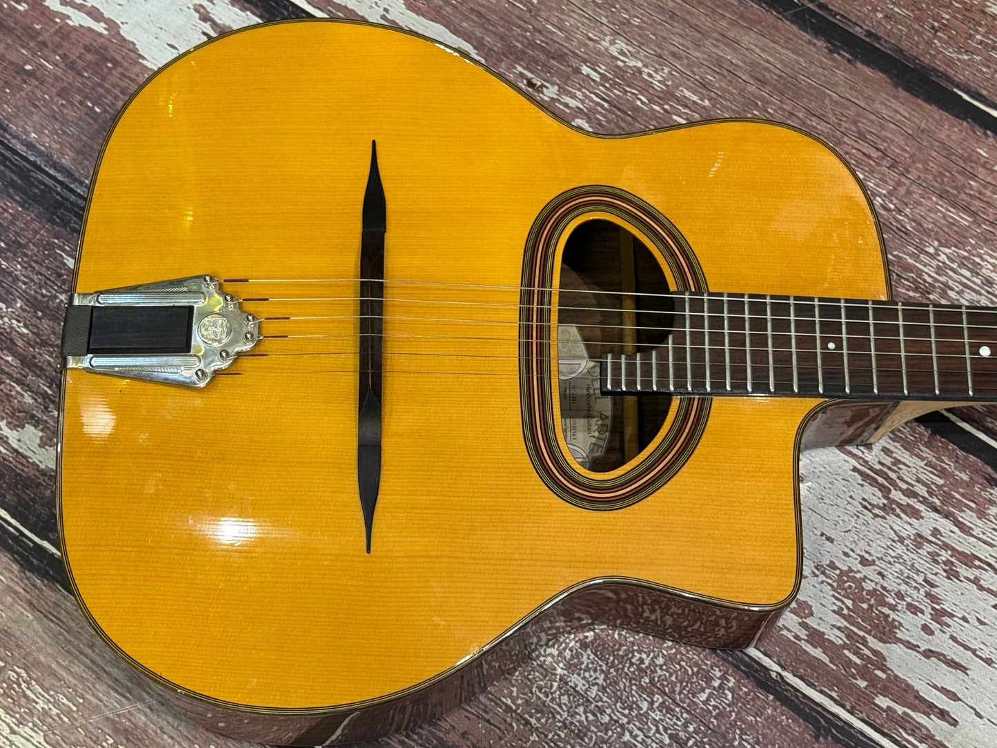 Dell Arte DG-H1 gypsy Jazz guitar