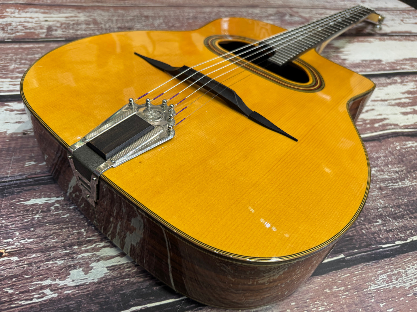 Dell Arte DG-H1 gypsy Jazz guitar
