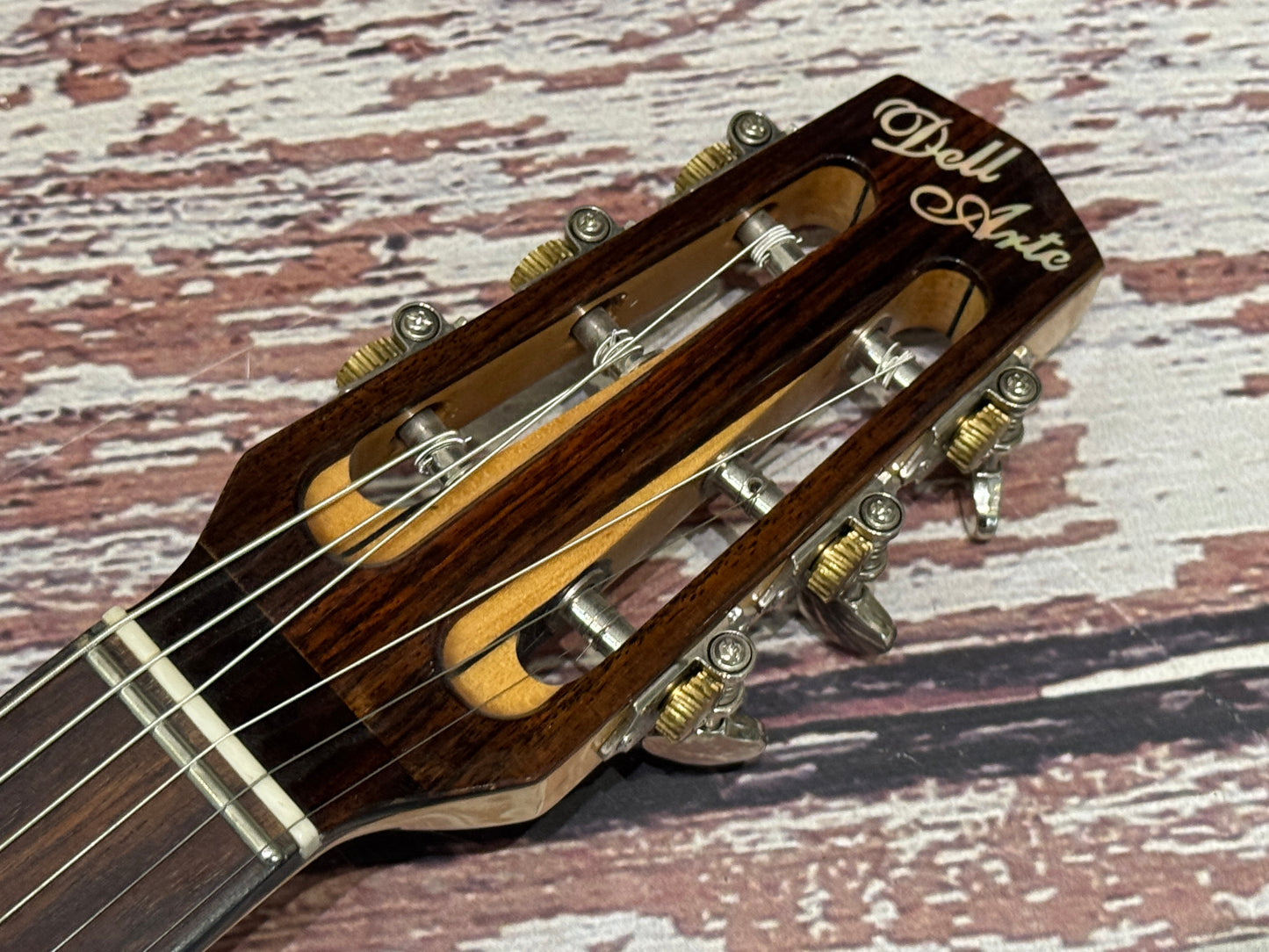 Dell Arte DG-H1 gypsy Jazz guitar