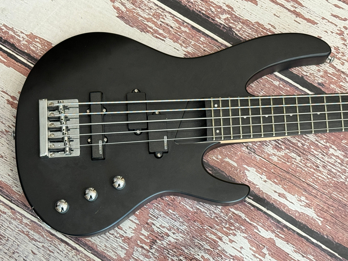 ESP Ltd B-15 5 string active bass