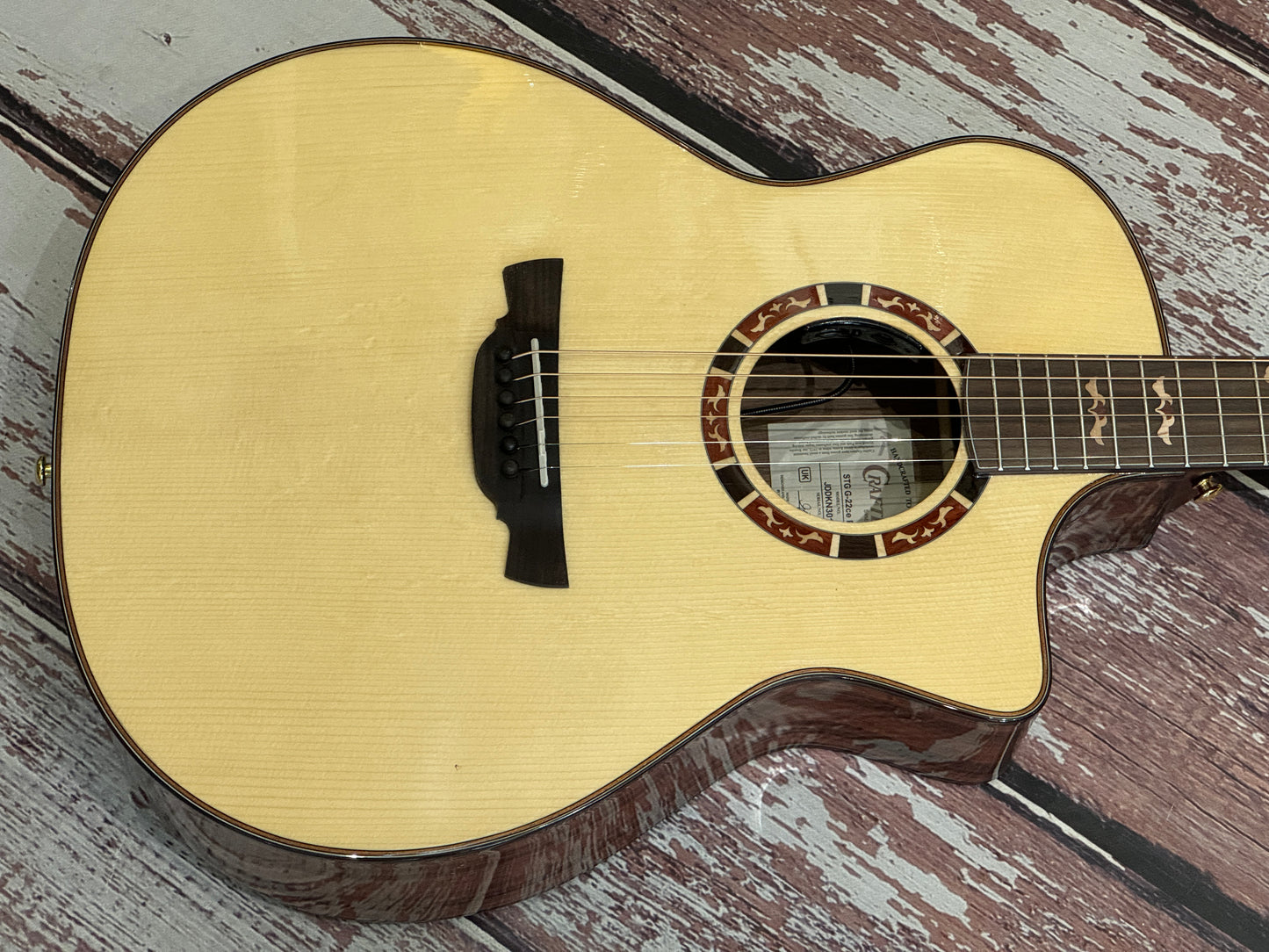 Crafter Stage series G22 Pro Electro acoustic