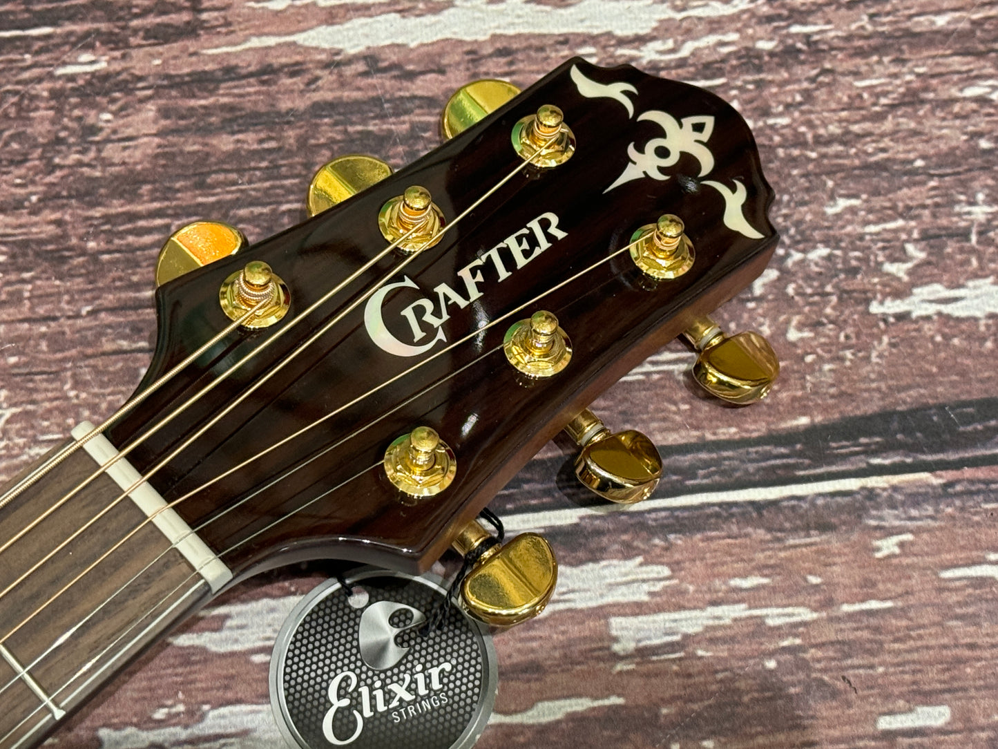 Crafter Stage series G22 Pro Electro acoustic