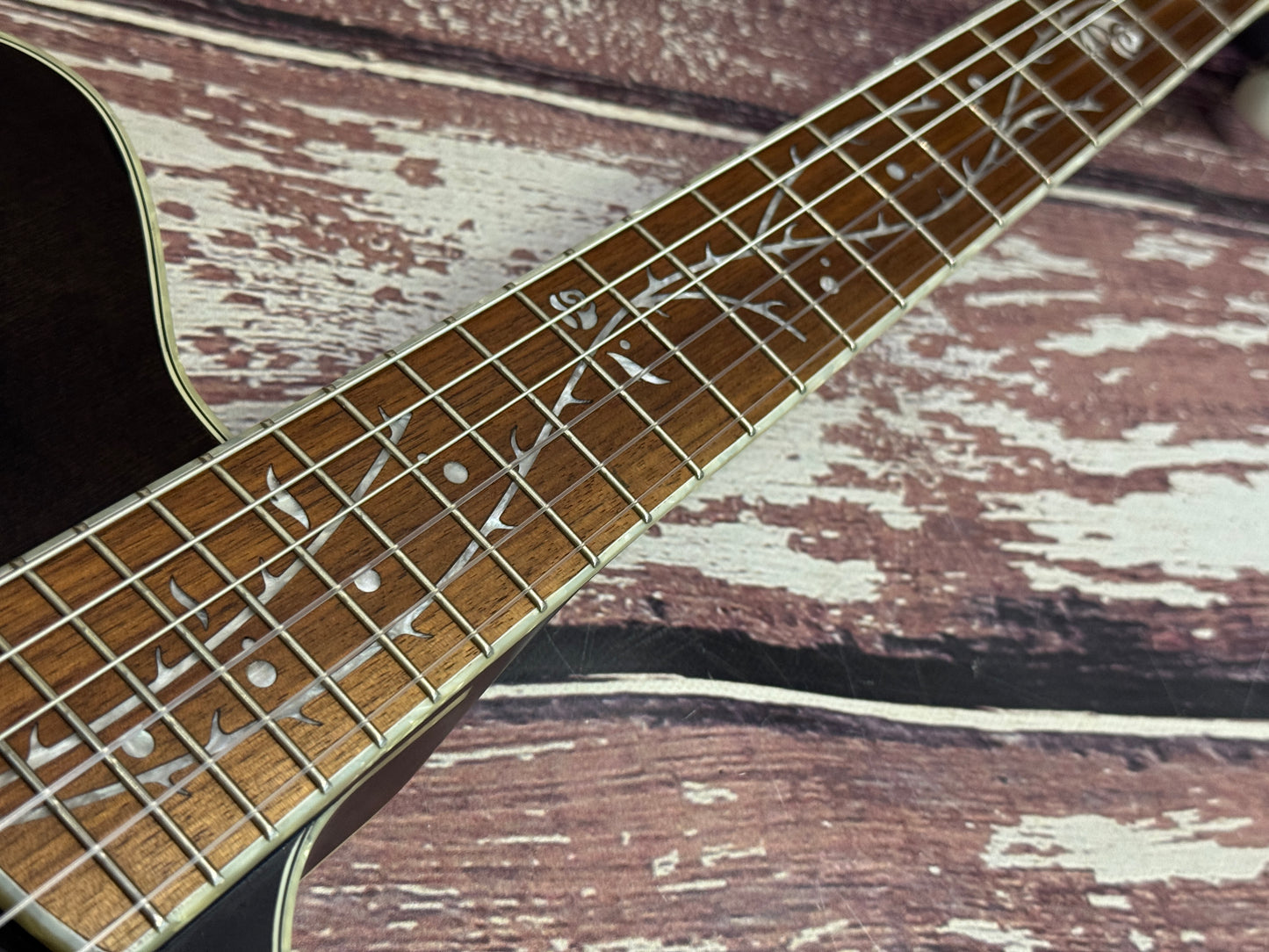 Ibanez - Tim Henson Signature TOD10N Electro nylon string - Polyphia