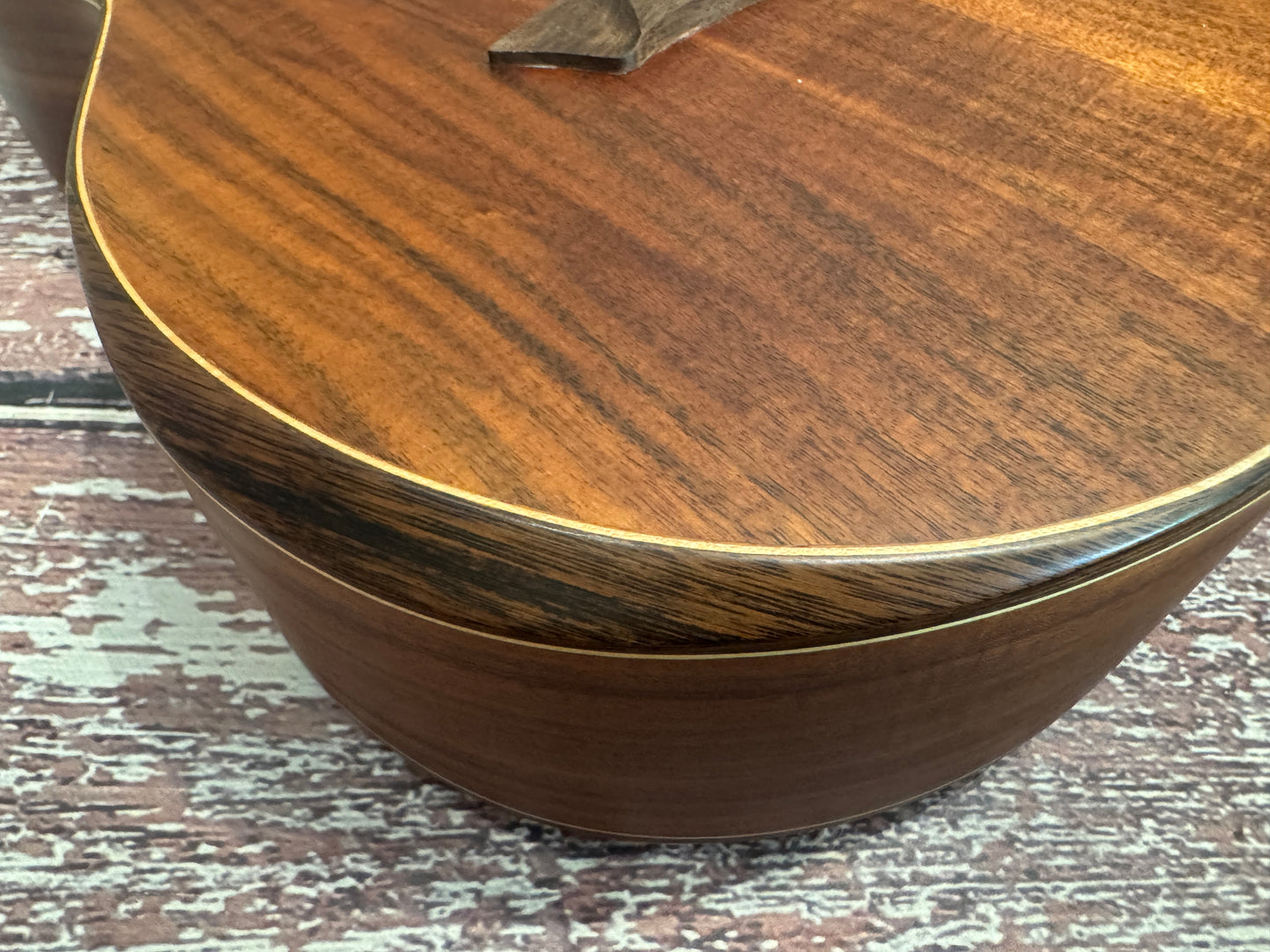 Washburn Comfort G-Mini travel acoustic & bag