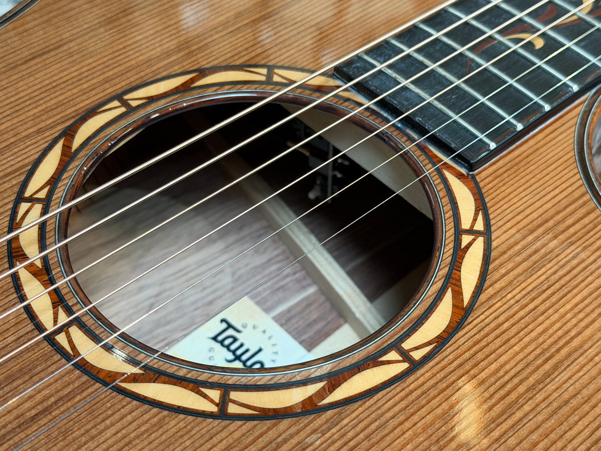 Taylor "The Catch" 2024 collection #2 - Custom model - C14CE
