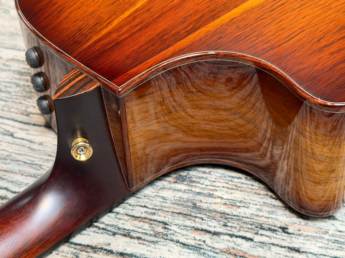 Taylor "The Catch" 2024 collection #2 - Custom model - C14CE