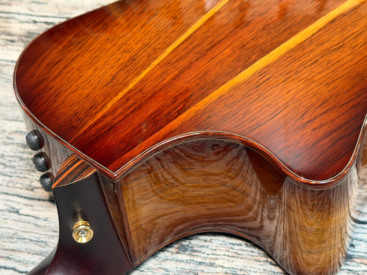 Taylor "The Catch" 2024 collection #2 - Custom model - C14CE
