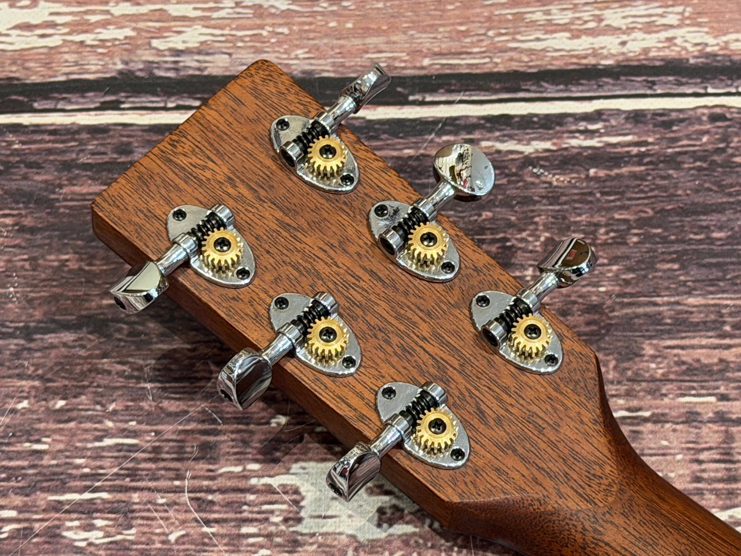 Auden - Artist Series Chester Mahogany Spruce Cut Away Electro acoustic - All solid.