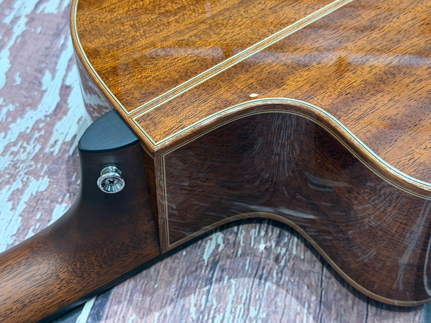 Auden - Artist Series Chester Mahogany Spruce Cut Away Electro acoustic - All solid.