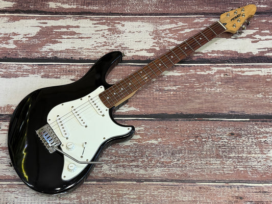 Peavey Raptor Special electric guitar