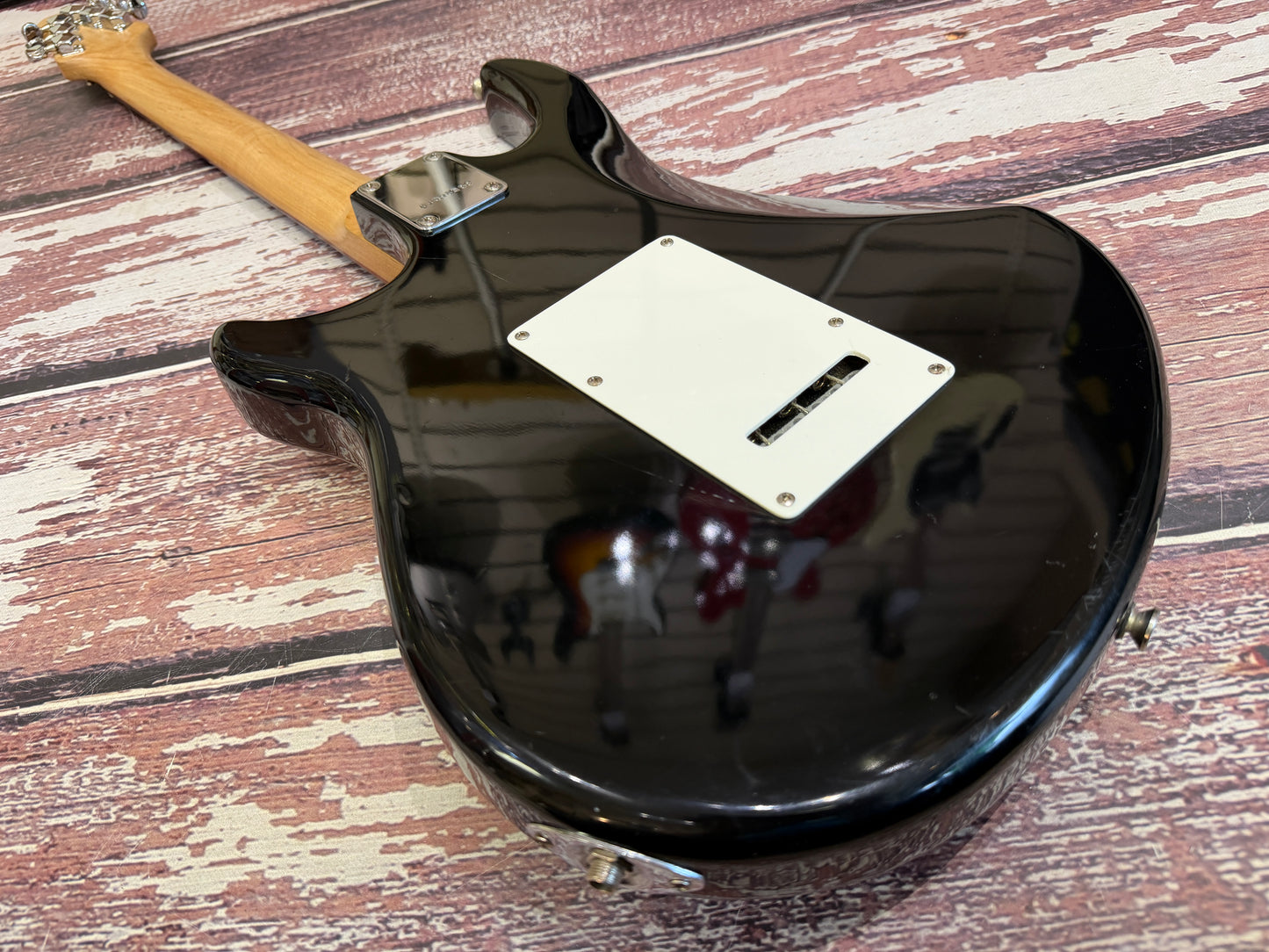 Peavey Raptor Special electric guitar