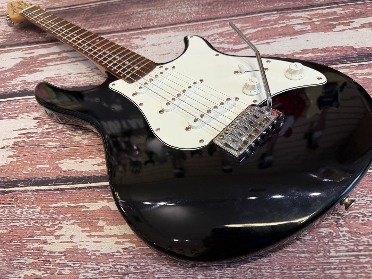 Peavey Raptor Special electric guitar