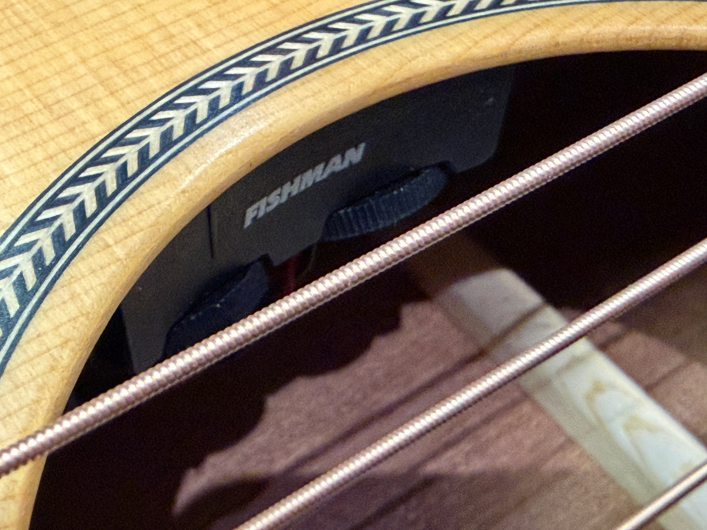 Cort Essence Series Electro Acoustic - Fishman - Natural