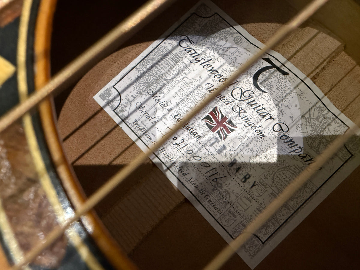 Tanglewood TW Baby - Travel acoustic