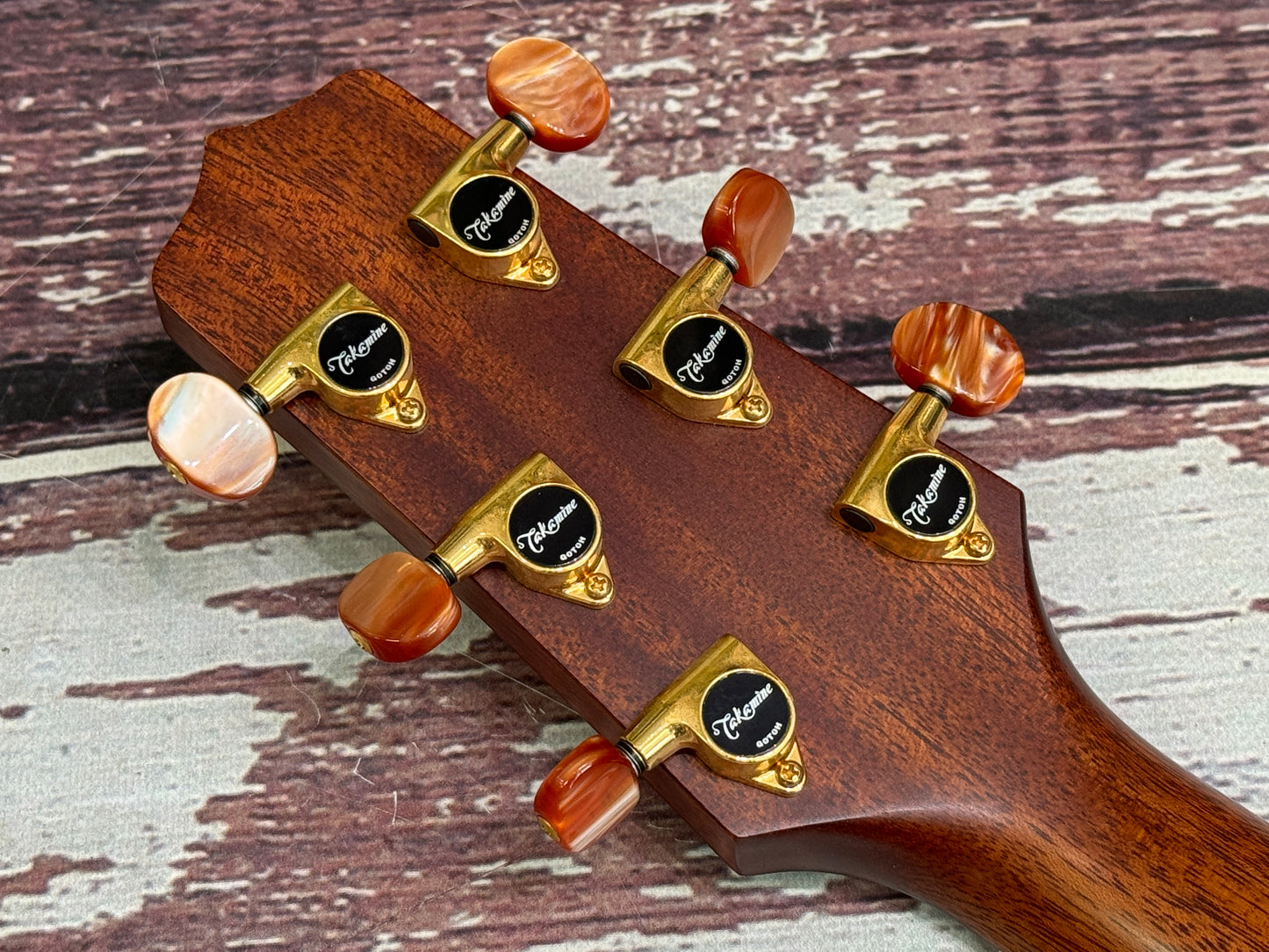 Takamine EAN10C Japanese electro