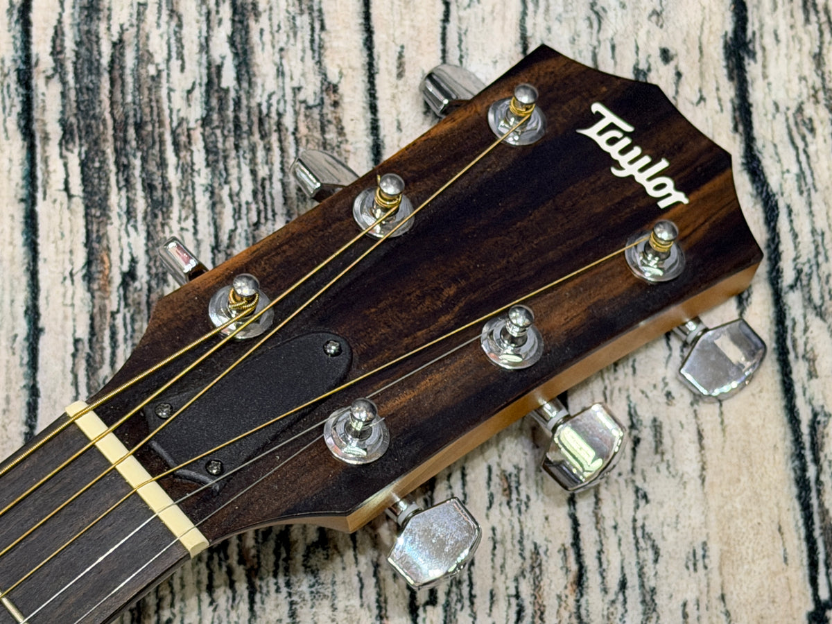 Taylor 110E electro dreadnought & case